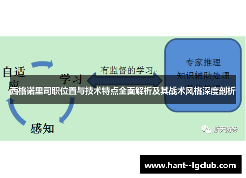 西格诺里司职位置与技术特点全面解析及其战术风格深度剖析